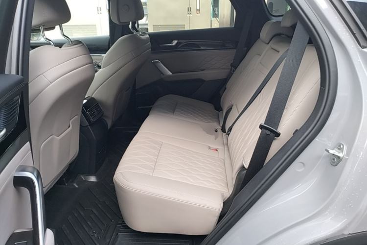 Used BYD Tang New Energy 2025 DM-i 115KM Flagship Model Left Rear Seat