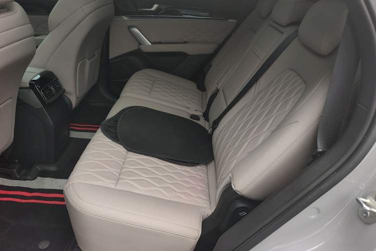 Used BYD Tang New Energy 2025 Intelligent Driving Version DM-i 115KM Prestige Edition Left Rear Seat