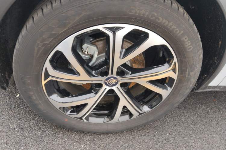 Used BYD Tang New Energy 2025 Intelligent Driving Version DM-i 115KM Flagship Edition Exterior 4
