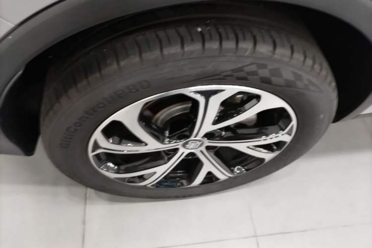 Used BYD Tang New Energy 2025 Intelligent Driving Version DM-i 115KM Flagship Edition Exterior 5