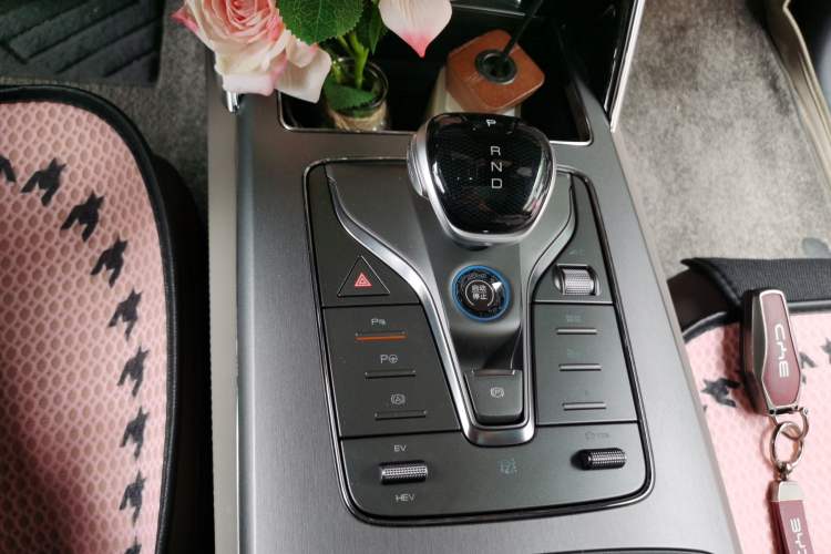 Used BYD Tang New Energy 2025 Intelligent Driving Version DM-i 115KM Prestige Edition Gear Lever