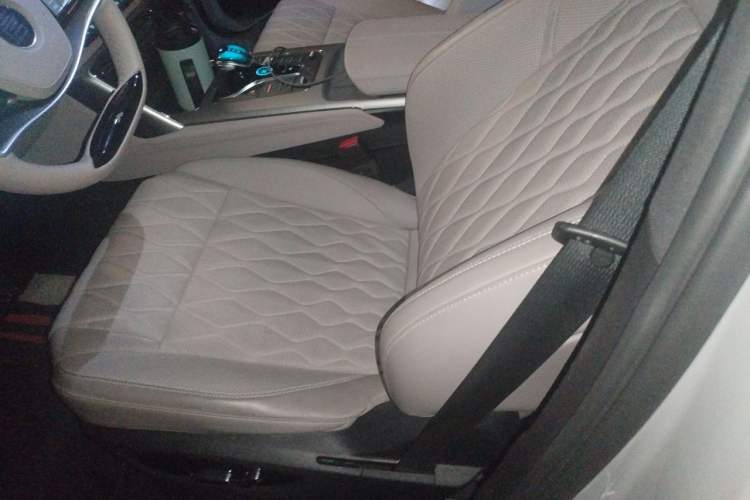 Used BYD Tang New Energy 2025 DM-i 115KM Prestige Model Left Front Seat