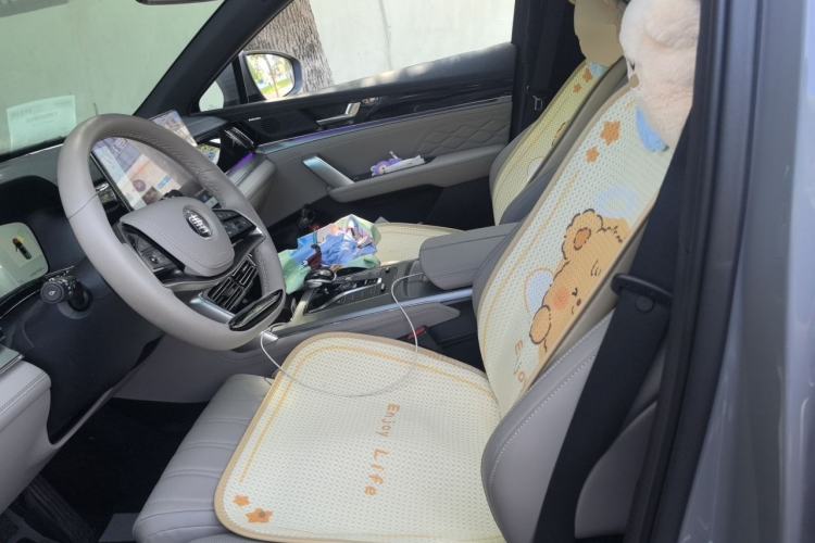 Used BYD Tang New Energy 2025 DM-i 115KM Cloud Ride Flagship Model Left Front Seat