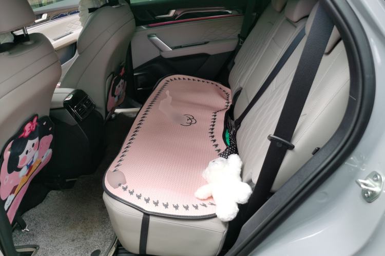Used BYD Tang New Energy 2025 Intelligent Driving Version DM-i 115KM Prestige Edition Left Rear Seat