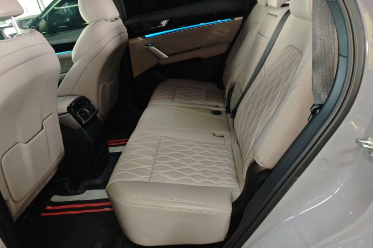 Used BYD Tang New Energy 2025 DM-i 115KM Prestige Model Left Rear Seat