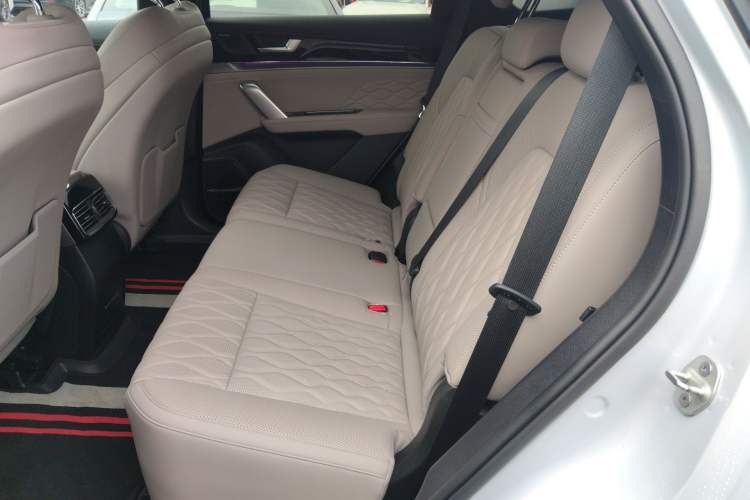 Used BYD Tang New Energy 2025 Intelligent Driving Version DM-i 115KM Flagship Edition Left Rear Seat