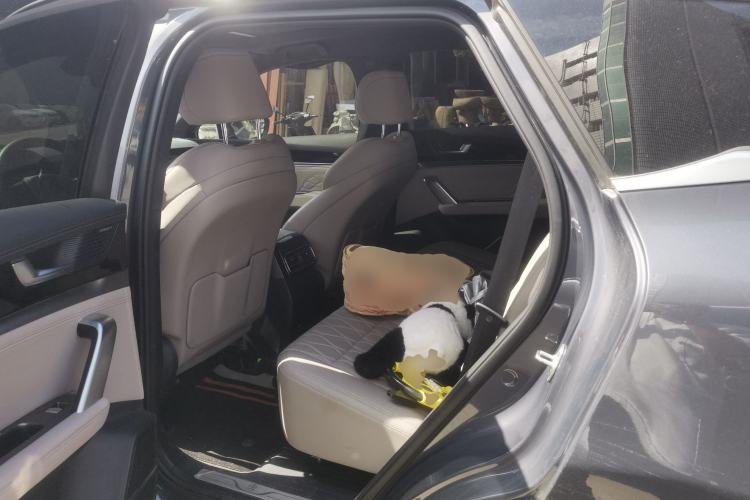 Used BYD Tang New Energy 2025 DM-i 115KM Prestige Model Left Rear Seat