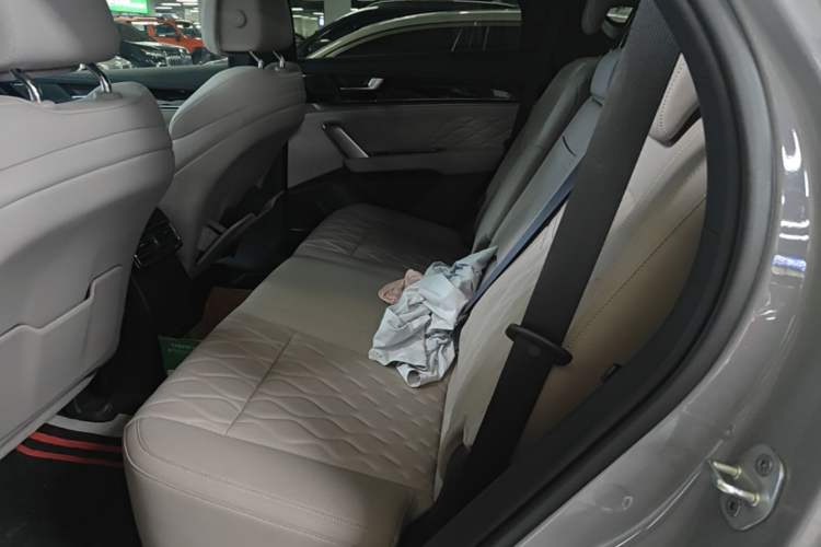 Used BYD Tang New Energy 2025 Intelligent Driving Version DM-i 115KM Prestige Edition Left Rear Seat