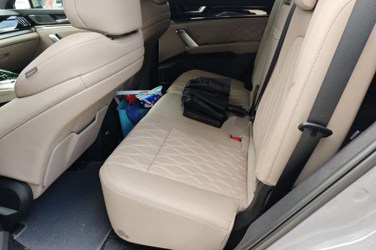 Used BYD Tang New Energy 2025 Intelligent Driving Version DM-i 115KM Prestige Edition Left Rear Seat