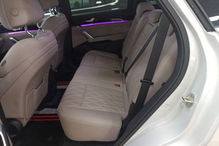 Used BYD Tang New Energy 2025 Intelligent Driving Version DM-i 115KM Flagship Edition Left Rear Seat