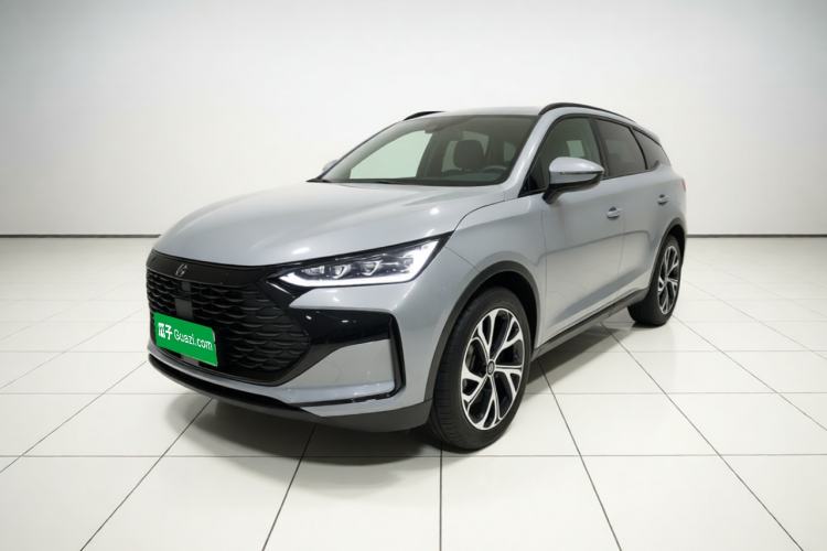 BYD Tang New Energy 2025 DM-i 115KM Prestige Model - Executive