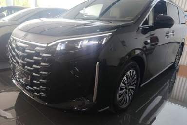 Used BYD Xia 2025 DM-i 1.5T 180km Excellence Model