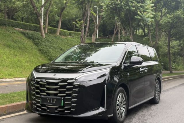 Used BYD Xia 2025 DM-i 1.5T 100km Supreme Edition