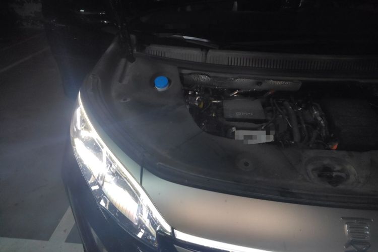 Used BYD Xia 2025 DM-i 1.5T 100km Supreme Edition Engine Bay Right