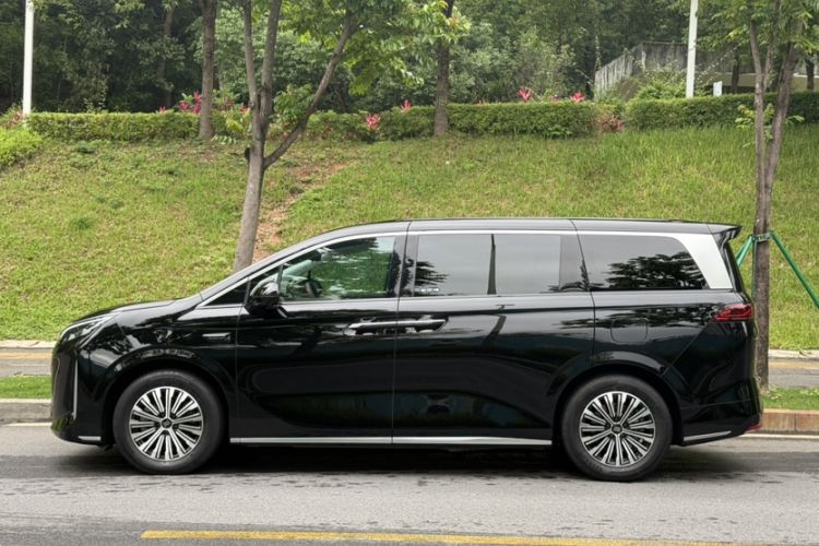 Used BYD Xia 2025 DM-i 1.5T 100km Supreme Edition Exterior 1