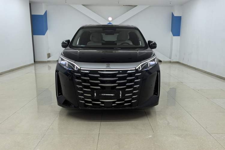 Used BYD Xia 2025 DM-i 1.5T 180km Excellence Model Exterior 1
