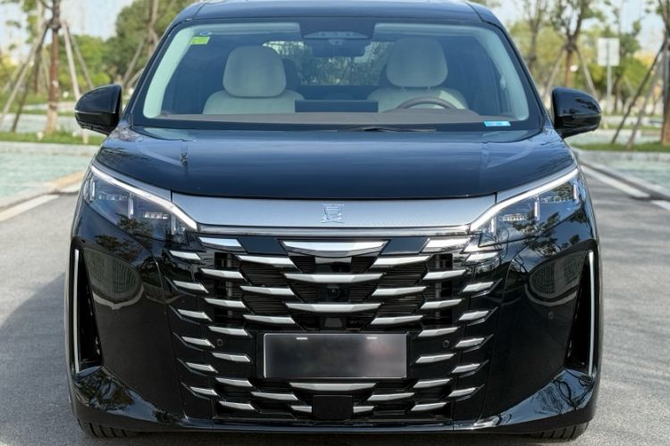 Used BYD Xia 2025 DM-i 1.5T 180km Excellence Model Exterior 1