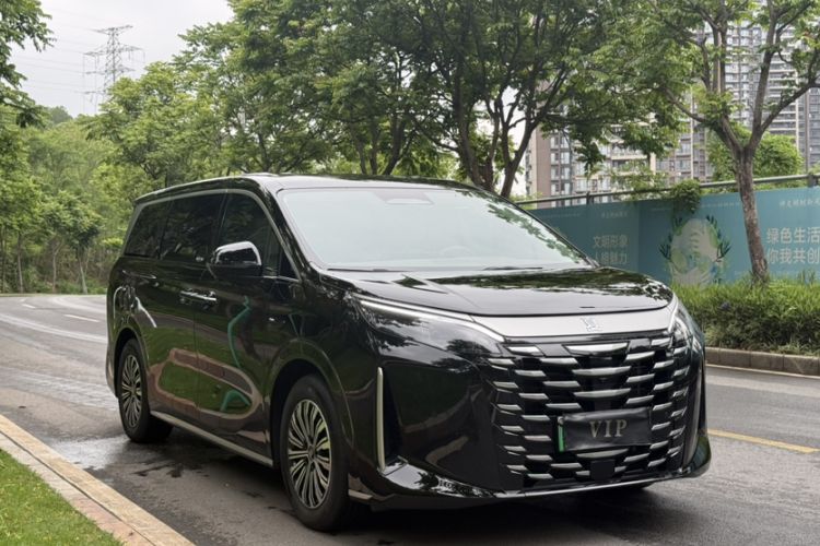 Used BYD Xia 2025 DM-i 1.5T 100km Supreme Edition Exterior 10