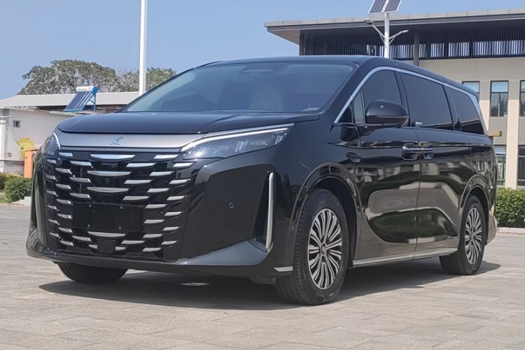 Used BYD Xia 2025 DM-i 1.5T 180km Excellence Model Exterior 2