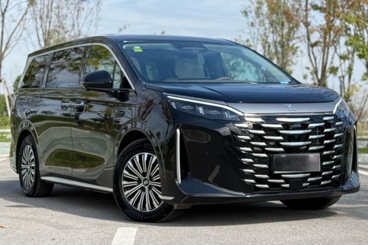 Used BYD Xia 2025 DM-i 1.5T 180km Excellence Model Exterior 2