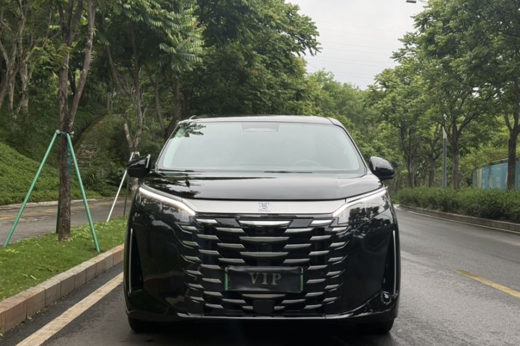 Used BYD Xia 2025 DM-i 1.5T 100km Supreme Edition Exterior 3