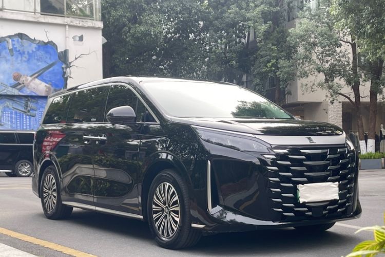 Used BYD Xia 2025 DM-i 1.5T 180km Excellence Model Exterior 3