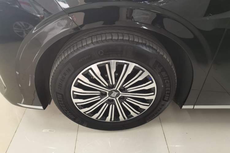 Used BYD Xia 2025 DM-i 1.5T 180km Beyond Edition Exterior 4