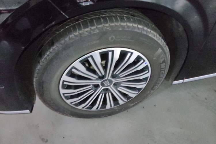 Used BYD Xia 2025 DM-i 1.5T 180km Beyond Edition Exterior 7