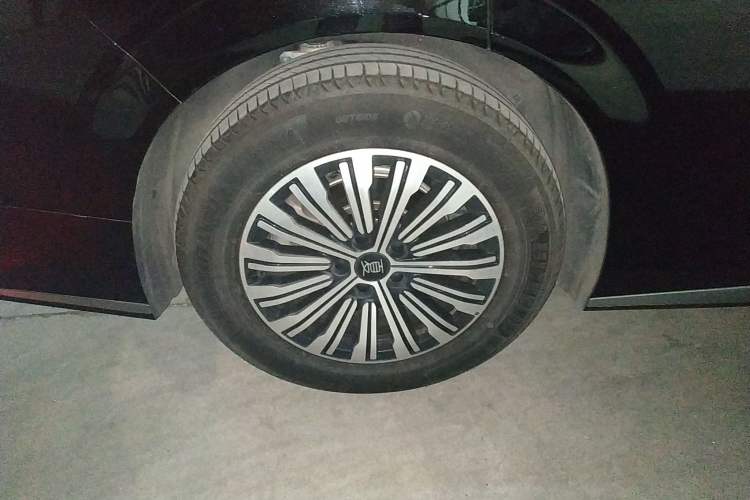 Used BYD Xia 2025 DM-i 1.5T 180km Beyond Edition Exterior 8