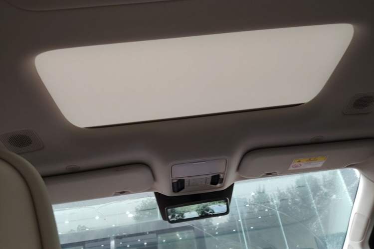 Used BYD Xia 2025 DM-i 1.5T 180km Excellence Model Headliner