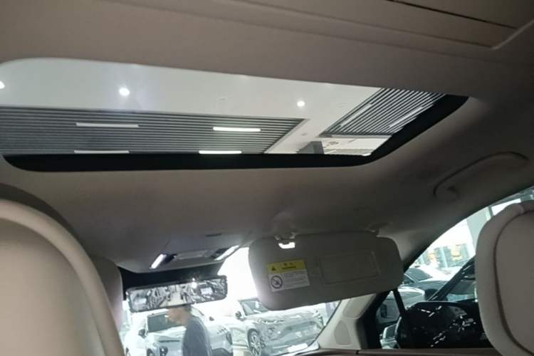 Used BYD Xia 2025 DM-i 1.5T 180km Excellence Model Headliner