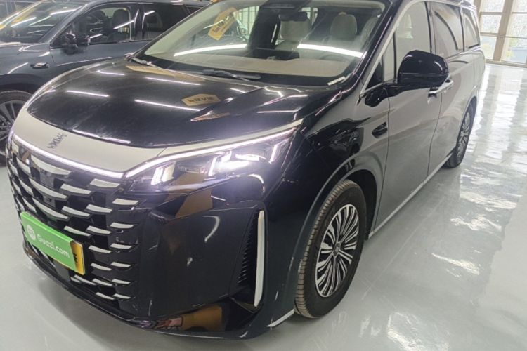 BYD Xia 2025 DM-i 1.5T 180km Excellence Model