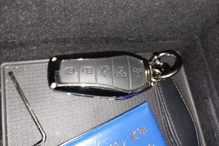 Used BYD Xia 2025 DM-i 1.5T 180km Beyond Edition Interior 1