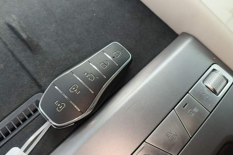 Used BYD Xia 2025 DM-i 1.5T 180km Excellence Model Interior 1