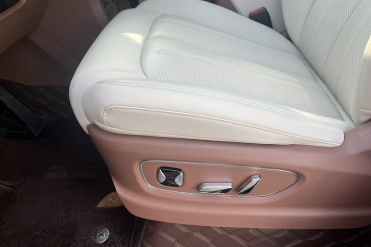 Used BYD Xia 2025 DM-i 1.5T 180km Excellence Model Left Front Seat