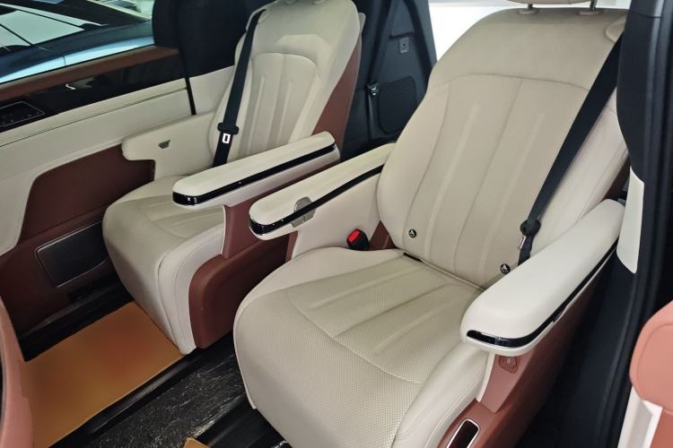 Used BYD Xia 2025 DM-i 1.5T 180km Beyond Edition Left Rear Seat