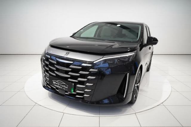 Used BYD Xia 2025 DM-i 1.5T 180km Excellence Model