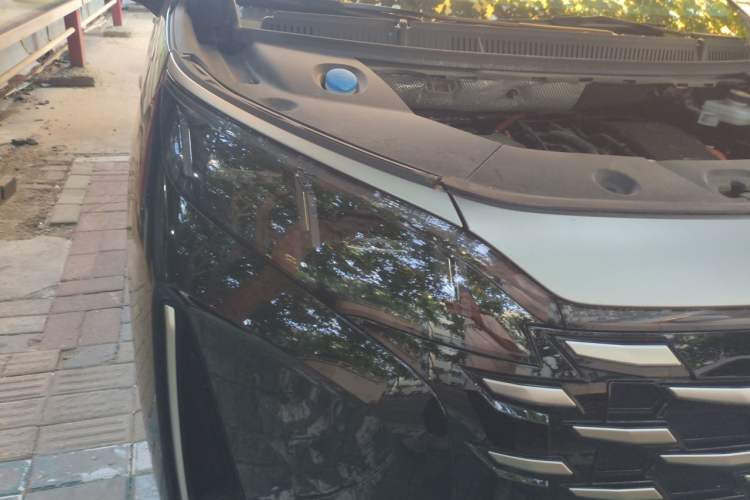 Used BYD Xia 2025 DM-i 1.5T 180km Excellence Model Right Front Headlight