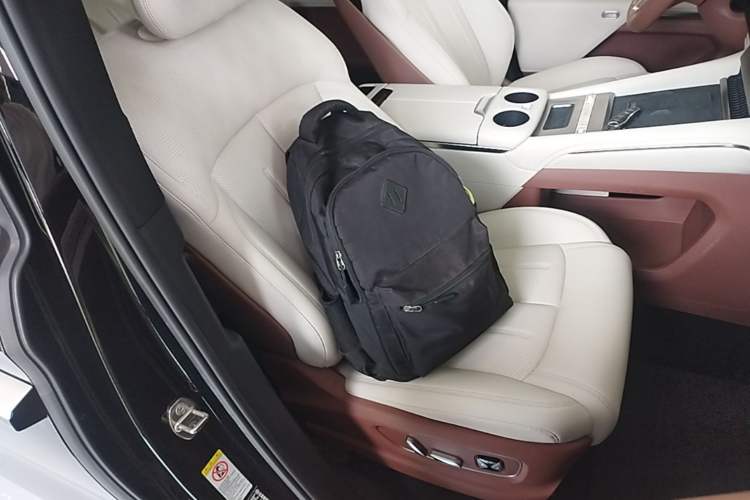 Used BYD Xia 2025 DM-i 1.5T 180km Excellence Model Right Front Seat
