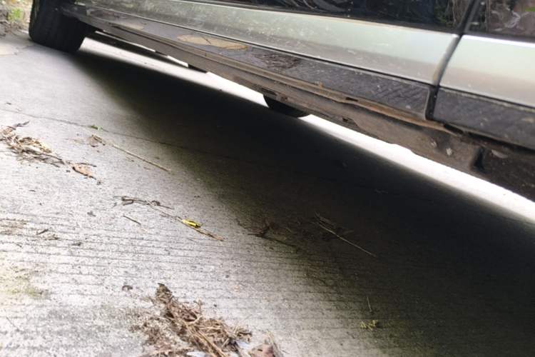 Used BYD Xia 2025 DM-i 1.5T 180km Excellence Model Right Side Sill