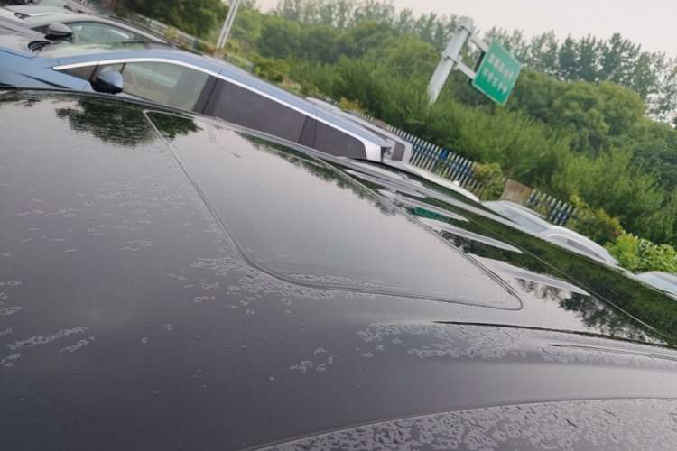 Used BYD Xia 2025 DM-i 1.5T 180km Excellence Model Roof