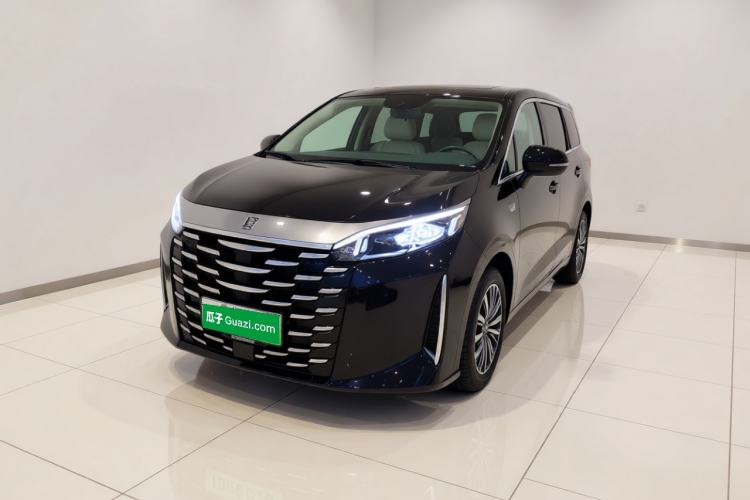 BYD Xia 2025 DM-i 1.5T 100km Supreme Edition