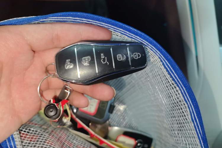 Used BYD Xia 2025 DM-i 1.5T 180km Beyond Edition Vehicle Key