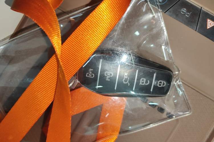 Used BYD Xia 2025 DM-i 1.5T 100km Supreme Edition Vehicle Key