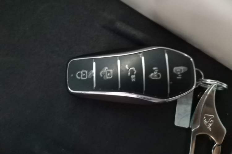 Used BYD Xia 2025 DM-i 1.5T 180km Beyond Edition Vehicle Key