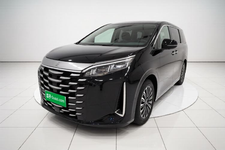 BYD Xia 2025 DM-i 1.5T 100km Leading Model