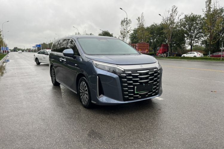 Used BYD Xia 2025 DM-i 1.5T 180km Excellence Model Exterior 4