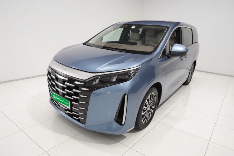 BYD Xia 2025 DM-i 1.5T 100km Supreme Edition