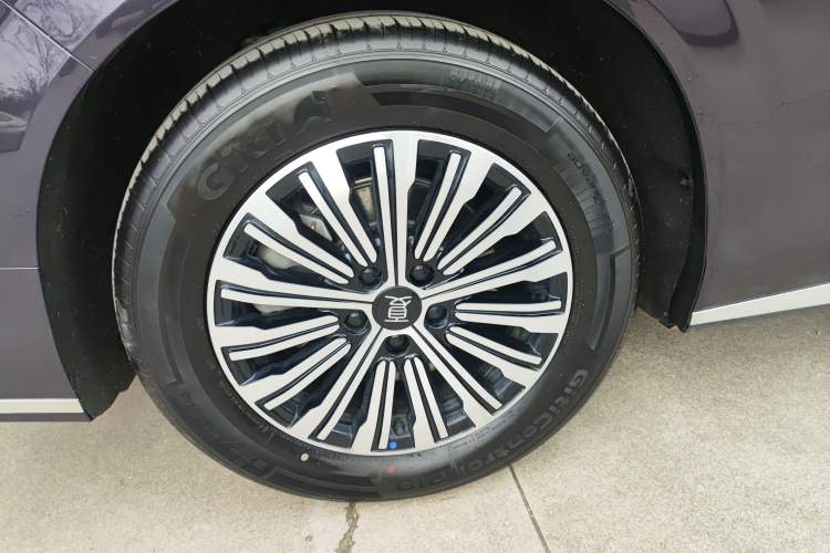 Used BYD Xia 2025 DM-i 1.5T 100km Leading Model Exterior 8