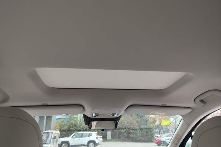 Used BYD Xia 2025 DM-i 1.5T 100km Leading Model Headliner